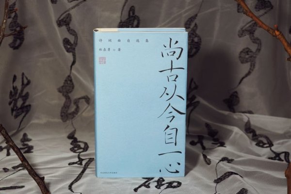 登录入口 上海诗词学会会长林在勇：生涯无处不有诗