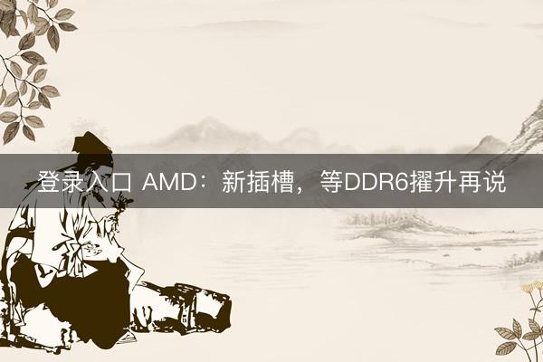 登录入口 AMD：新插槽，等DDR6擢升再说