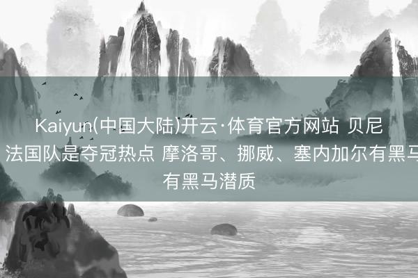 Kaiyun(中国大陆)开云·体育官方网站 贝尼特斯: 法国队是夺冠热点 摩洛哥、挪威、塞内加尔有黑马潜质