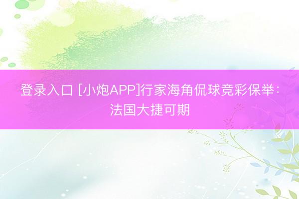 登录入口 [小炮APP]行家海角侃球竞彩保举：法国大捷可期